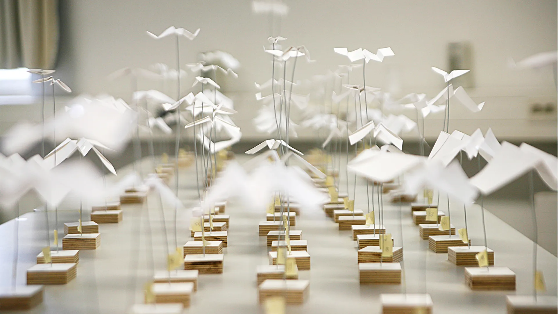 SMS to Paper Airplanes